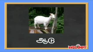 Two Letters in Tamil Erandezhuthu Sorkkal  இரண்டெழுத்து சொற்கள் [upl. by Buffo]