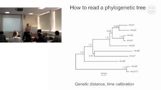 1 Phylogenetic analysis of pathogenslecture  part1 [upl. by Hales967]