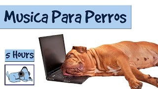 Sonidos y musica suave para perros mejora la ansiedad por separacion [upl. by Eirehc]