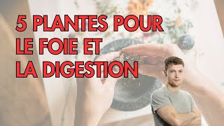 5 PLANTES pour soutenir le FOIE et la digestion [upl. by Aggappora47]