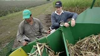 Sembradora de Caña de Azucar Neozaf 6000  Puesta a Punto Sugarcane Planter Tuningavi [upl. by Eugnimod]