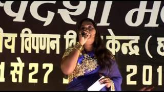 Ae Rang Rasiya Jodidar  Chhattisgarhi Folk Song At Swadeshi Mela Raipur Chhattisgarh [upl. by Longerich]