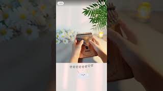 会开花的云  seeds kalimba 41key kalimbakalimbasongsmarimbas [upl. by Lumpkin104]