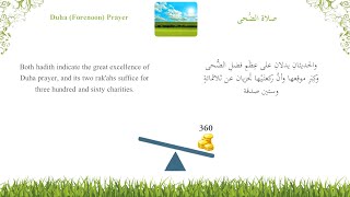 9 أنواع الصلاة  صلاة الضحى  Types of prayers  Duha Prayer [upl. by Akeem]