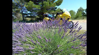 Tour della Lavanda 2021Camping Experience [upl. by Lasley]