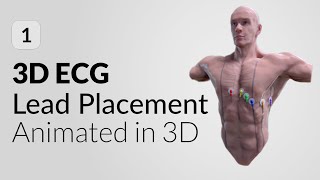 ECG Lead Placement explained in 3D  3D ECG Mobile App [upl. by Salis]