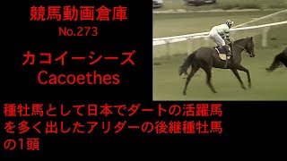 【競馬】カコイーシーズ Cacoethes【No 273】 [upl. by Ymereg]