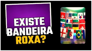 POR QUE NÃO EXISTEM PAÍSES COM BANDEIRA ROXA [upl. by Lehctim]