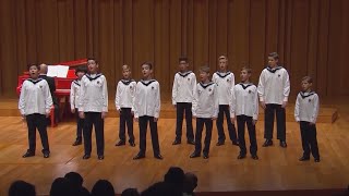 Vienna Boys Choir  We are the world（2019） [upl. by Ecenaj]