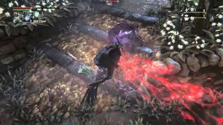 Bloodborne  Executioners vs Vilebloods A Neverending Struggle PvP [upl. by Nussbaum623]