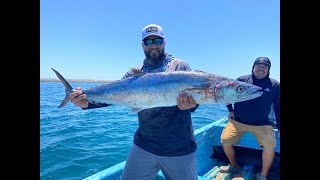 PESCA de PETOS y BACALAOS con POPPER y GOMAS [upl. by Eeralav]