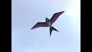 Bird Kites at Dieppe  2004 kite festival [upl. by Lilyan536]