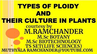 Types of PLOIDY and THEIR CULTURE IN PLANTS [upl. by Nnaaras540]