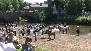 Appleby Horse Fair 2011 Day 2wmv [upl. by Saunder]