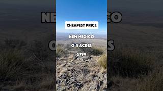 05 acres in New Mexico for 799 shorts fyp foryou realestate shortvideo property usa [upl. by Adnahsam494]