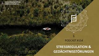 Stressregulation amp Gedächtnisstörungen  Podcast 154 [upl. by Reklaw991]