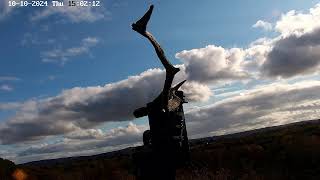 Poole Harbour Osprey Nest Camera  Aerial View [upl. by Kcirddahc]