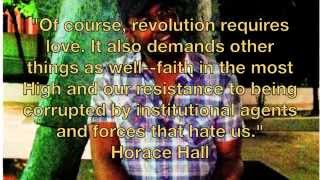 Horace Hall Angela Davis et al quotes from ECAC conf 2014 [upl. by Alac]