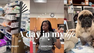 A day in my life as a Vet Assistant in ER  Journey to Vet school 🐾 [upl. by Veator]