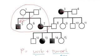 BiologieErfelijkheiddominant of recessief in stambomen [upl. by Harding]