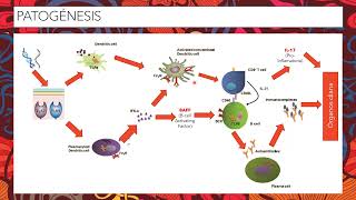 LUPUS ERITEMATOSO SISTÉMICO Fisiopatología y Manifestaciones clínicasEular [upl. by Terag]