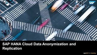 Data Anonymization and Replication  SAP HANA Cloud [upl. by Gustaf]