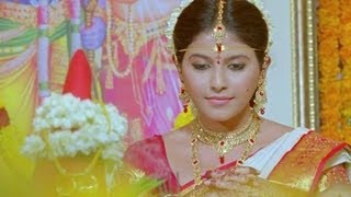 Maa Annayya Movie  Full Songs Jukebox  Rajashekar Meena  Telugu Juke Box [upl. by Browning337]