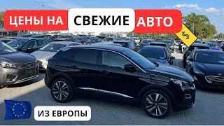 СВЕЖИЕ Авто из Европы Обзор ЦЕН Сентябрь [upl. by Polloch]