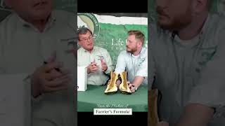 Equine Laminitis Causes Inflammation in the Horses Hoof Capsule hoof horses hoofcare horsecare [upl. by Dexter]