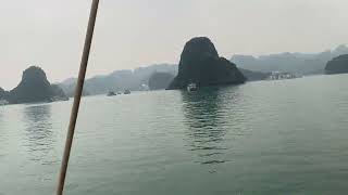 Halong Bay Exploration Navigating the Jewel of Vietnam [upl. by Octave]