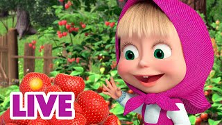 🔴 ПРЯМОЙ ЭФИР LIVE Маша и Медведь 👱‍♀️🐻 Сладко жить не запретишь 🍓🍒 [upl. by Ssirk416]