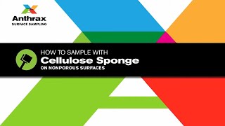 Anthrax surface sampling How to sample with cellulose sponge on nonporous surfaces [upl. by Atinaj]