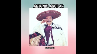 ANTONIO AGUILAR  COPITAS DE MEZCAL LETRA [upl. by Israel946]