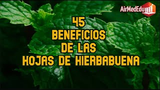 45 Beneficios de las Hojas de Hierbabuena [upl. by Aicrag]