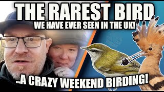 THE RAREST BIRD WE HAVE EVER SEEN IN THE UK A CRAZY BIRDING ADVENTURE [upl. by Ailedua]