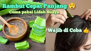 RAMBUT CEPAT PANJANG HANYA DENGAN LIDAH BUAYA  Manfaat Lidah Buaya [upl. by Noid]