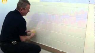 How to Install Mosaic Tiles  RONA [upl. by Butta551]