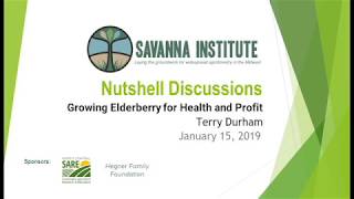 Growing Elderberry for Health and Profit Terry Durham [upl. by Ikilisav]