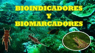 BIOINDICADORES Y BIOMARCADORES [upl. by Ayom274]