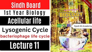 lysogenic cycle  acellular life  1st Year biology Sindh text book board new Book class 11 [upl. by Lerrehs]