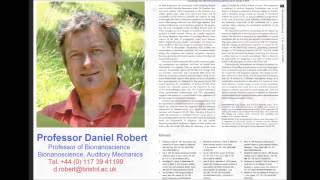 Insect Auditory Mechanisms  Prof Daniel Robert  Sep 2014 [upl. by Inait]