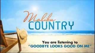 Reba McEntire  Goodbye Looks Good On Me  Malibu Country [upl. by Lucky]