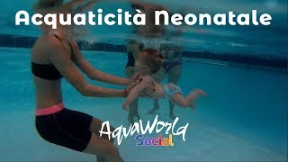 Acquaticità Neonatale [upl. by Nodyarb]