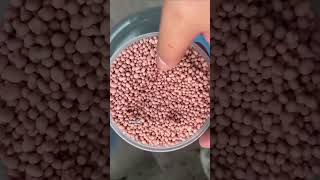 npk 16 16 8 fertilizer for plants [upl. by Neenej]