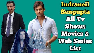 Indraneil Sengupta All Tv Serials List  Full Filmography  All Web Series List  Jamai Raja [upl. by Adamsun]