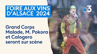 Foire aux vins de Colmar  découvrez la programmation de lédition 2024 [upl. by Wittie]