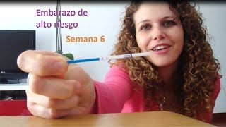 semana 6 embarazo  6 weeks pregnancy vlog [upl. by Bahe84]