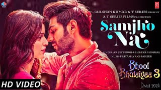 Bhool Bhulaiyaa 3 Song  Samjho Na Song  Kartik Aaryan  Tripti Dimri  Bhool Bhulaiyaa 3 Movie [upl. by Sedrul]