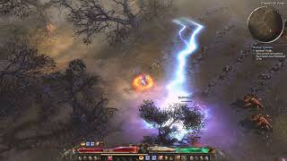 Quest Infested Fields Destroy Dermapteran Egg Clusters Grim Dawn [upl. by Siocnarf]