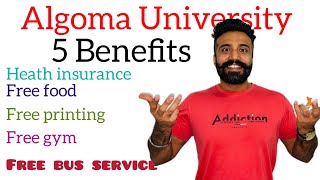 Algoma University 5 Benefits for International Student 🇨🇦youthofpunjabca canada saultstemarie [upl. by Aiblis]